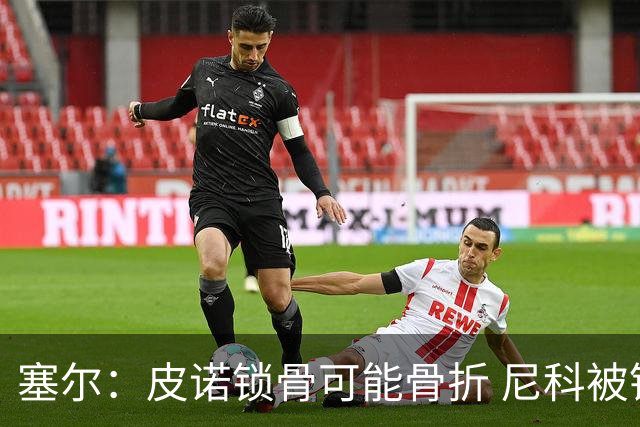 塞尔：皮诺锁骨可能骨折 尼科被铲伤可能提前结束世界杯之旅