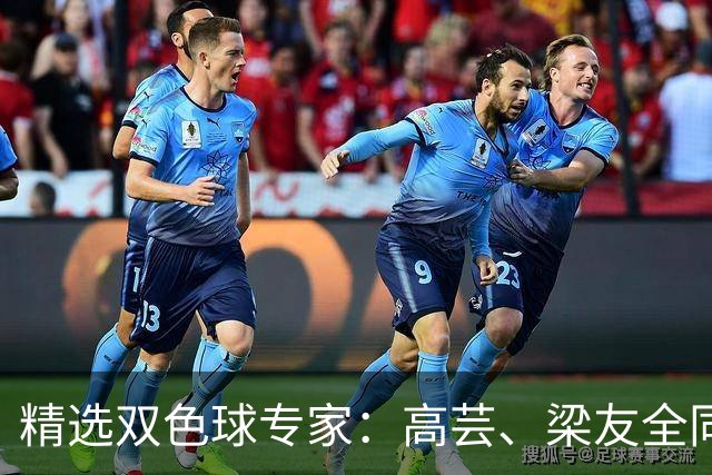 精选双色球专家：高芸、梁友全同中二等279万！
