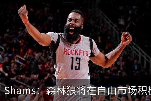 Shams：森林狼将在自由市场积极补强4号位 但他们只能提供底薪